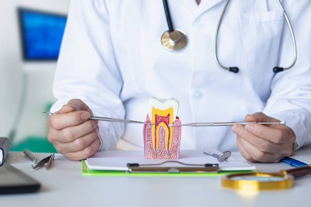 Best Dentist for Tooth Abscess  in Bunnell, FL
